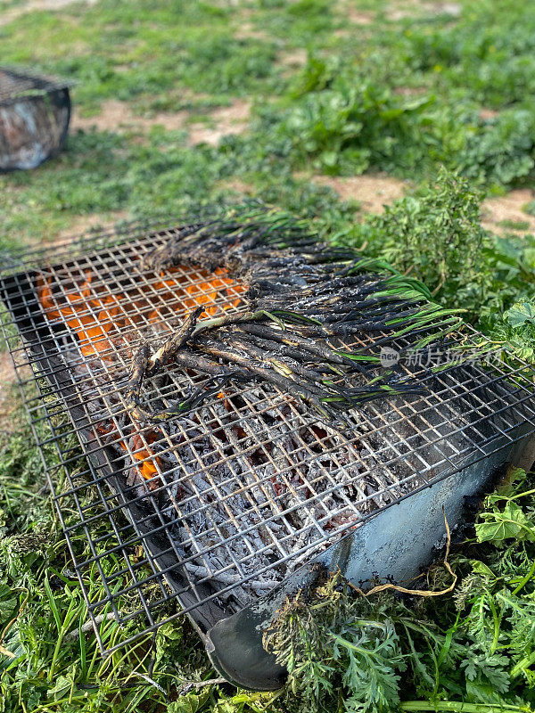 Cooking ‘calçots’ being grilled over a hot fire at home